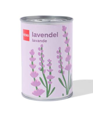 HEMA Groeiblik lavendel