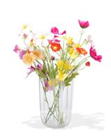 HEMA Vaas 27cm glas transparant (transparant) - thumbnail