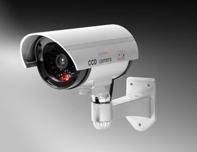 Technaxx 4310 Dummy-camera Met knipperende LED