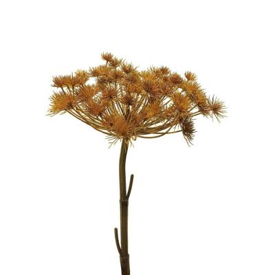 Giant heracleum bruin 98 cm kunstbloem Buitengewoon de Boet - Buitengewoon de boet Giant heracleum bruin 98 cm kunstbloem Buitengewoon de Boet - Buitengewoon de boet