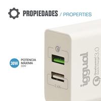 Oplader iggual IGG317389 - thumbnail