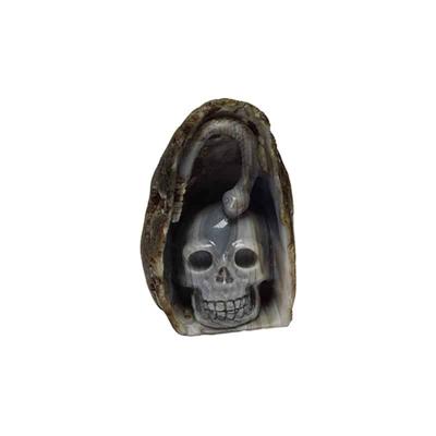 Kristallen Schedel Agaat met Slang - 80 mm