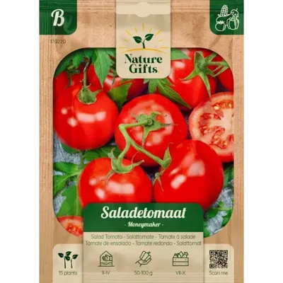 Tomaat moneymaker 15st Tomaat moneymaker 15st