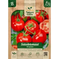 Tomaat moneymaker 15st - thumbnail