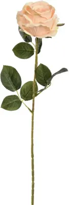 Pure Royal kunsttak roos 70cm perzik Pure Royal kunsttak roos 70cm perzik