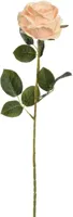Pure Royal kunsttak roos 70cm perzik - thumbnail
