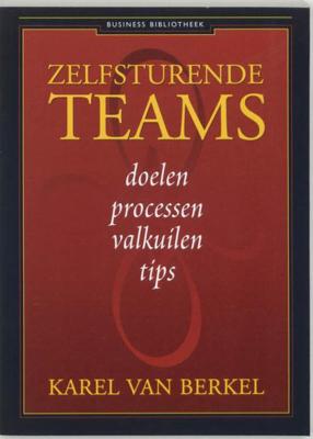 Zelfsturende teams - Karel van Berkel - eBook (9789047001591)