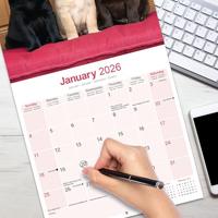 Labrador Retriever Mixed Kalender 2026 - thumbnail