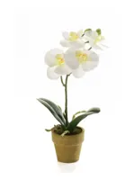 Kunstplant Phalaenopsis Mini Creme - 25cm - thumbnail