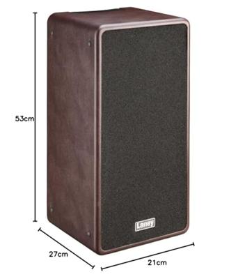Laney A-Duo akoestische-gitaarversterkercombo