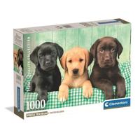 Clementoni puzzel 1000pcs labradors - thumbnail
