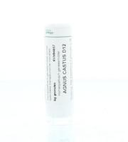 Agnus castus D12 - thumbnail