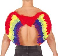 Regenboog vleugel 80x50cm - thumbnail