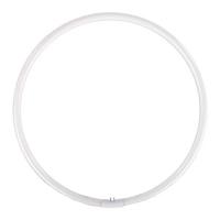 Falcon eyes reserve ringlamp voor flc-55 55w - thumbnail