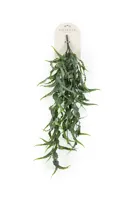 Eucalyptus hangend l23cm grijs - thumbnail