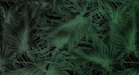 Muance Muance Fotobehang Passion leaf - MU11069 - thumbnail