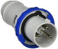 Schneider Electric 81378 81378 CEE-stekker 63 A 250 V 1 stuk(s) - thumbnail