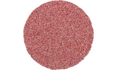 PFERD TOOLS CD 38 A 60 FORTE 42751406 Schuurblad Korrelgrootte (num) 60 (Ø) 38 mm 100 stuk(s)