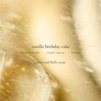 Philosophy Vanilla Birthday Cake Shampoo, Shower Gel & Bubble Bath 480ml - thumbnail