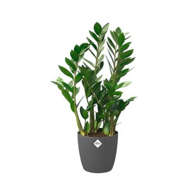 Elho brussels round wheels 35 antraciet