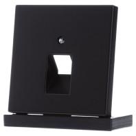 JUNG LS 969-1 UA SWM inzetplaat RJ45 LS990 GRAFIET grafiet mat zwart voor computeraansluiting