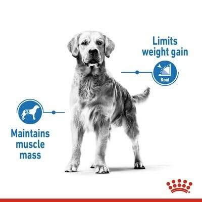 Royal Canin Light Weight Care Maxi hondenvoer 12kg