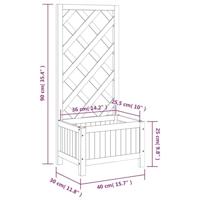 VidaXL Plantenbak met latwerk massief vurenhout zwart - thumbnail
