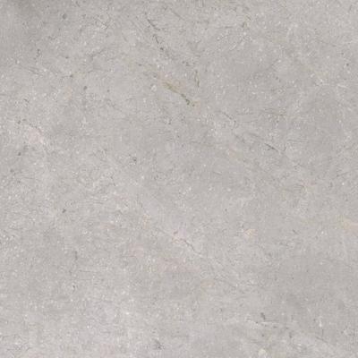 Vloertegel TS-Tiles Stonemaster Silver 60x60 cm TS-Tiles Vloertegel TS-Tiles Stonemaster Silver 60x60 cm TS-Tiles