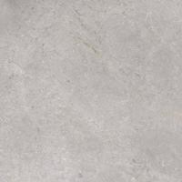 Vloertegel TS-Tiles Stonemaster Silver 60x60 cm TS-Tiles - thumbnail