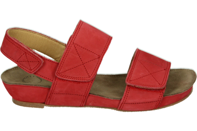 Ca'Shott 61200503 - alle