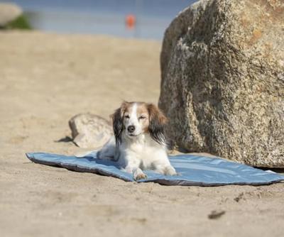 TRIXIE REISDEKEN SAMOA CLASSIC LICHTBLAUW / GRIJS TRIXIE REISDEKEN SAMOA CLASSIC LICHTBLAUW / GRIJS