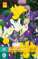 Bloembollen Iris Hollandica Mix 25st - thumbnail