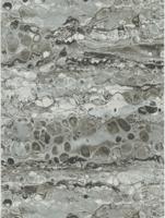 Dutch Wallcoverings Fusione - 45073521 - thumbnail