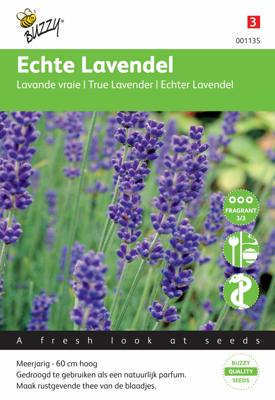 Echte Lavendel Echte Lavendel