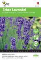 Echte Lavendel - thumbnail