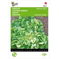 Andijvie Nummer Vijf - thumbnail