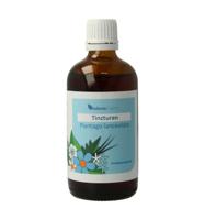 Balancepharma Plantago lanceolata tincturen 100 Milliliter - thumbnail