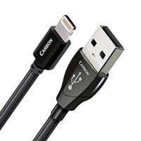 0,75 m carbon lightning-USB - thumbnail