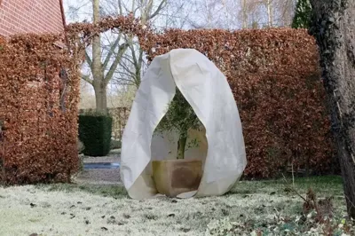 Nature winterhoes met rits 70 g/m² 2,5x2,5x3 m wit