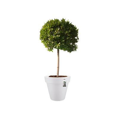 Elho: Pure Round Plantenbak 60 cm - Wit
