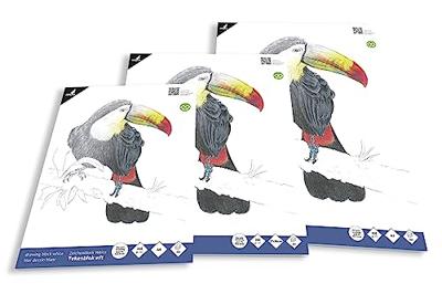 Kangaro K-5330 Tekenblok A4 200 Gr 20 Vel Wit Fijne Korrel Kopgelijmd Kangaro K-5330 Tekenblok A4 200 Gr 20 Vel Wit Fijne Korrel Kopgelijmd