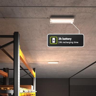 Salus LED Noodverlichting met accu wand-/plafondmontage 3 Watt 6500K IP65 Spatwaterdicht Incl. pictogram met vluchtwegaanduiding