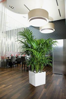 Vaso da fiori LECHUZA Cube Premium 40 - set completo, bianco lucido