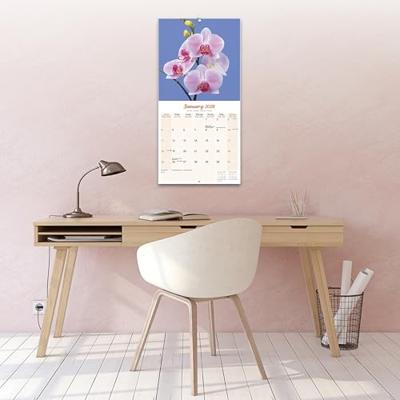 Orchidee Kalender 2026