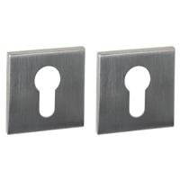 Intersteel Cilinderrozetten verdekt 53x53x6mm RVS - thumbnail