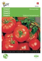 Tomaat Moneymaker - thumbnail