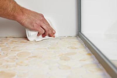 Bison Silicone Remover Crd 100Ml*6 L192 - 6301507 - 6301507