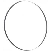 Bandzaagblad 1826 x 12 x 0,4 mm T 6 mm Holzmann Maschinen BSB245HQB12 - thumbnail