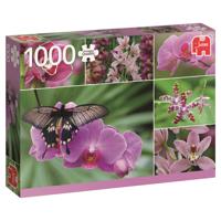 Premium Collection Puzzel - Holland Orchids (1000 Stukjes) - Puzzel;Puzzel (8710126183540) - thumbnail
