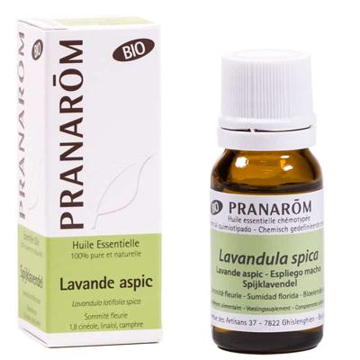 Pranarôm Essentiële Olie Spijk Lavandel Bio 10ml